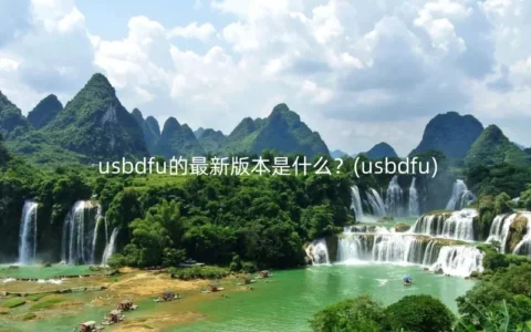 usbdfu的最新版本是什么？(usbdfu)