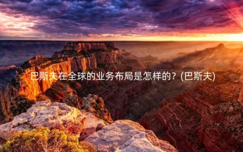 巴斯夫在全球的业务布局是怎样的？(巴斯夫)