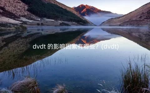 dvdt 的影响因素有哪些？(dvdt)