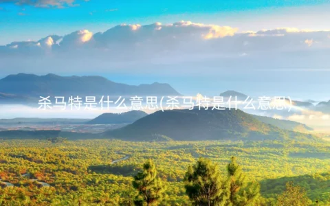 杀马特是什么意思(杀马特是什么意思)