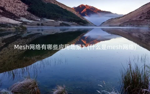 Mesh网络有哪些应用场景？(什么是mesh网络)