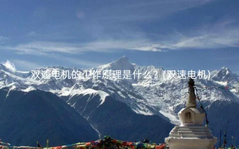 双速电机的工作原理是什么？(双速电机)