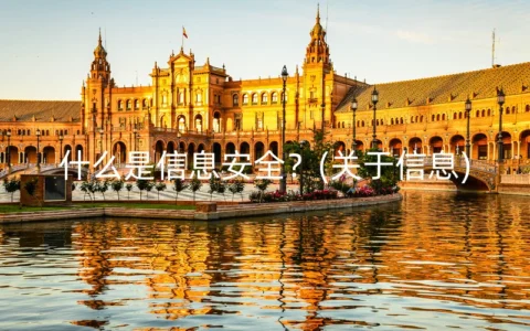 什么是信息安全？(关于信息)