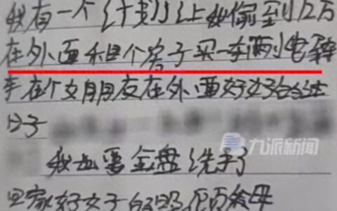 小偷都有职业规划了：警察抓小偷发现其制定“一年偷12万”的计划
