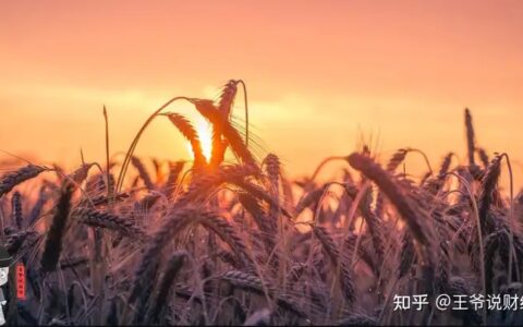 最新预测：2021年，俄罗斯粮食总产量或将达到1.18亿吨！中国呢？