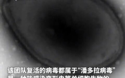 近5万年前远古病毒被复活！科学家发出警告