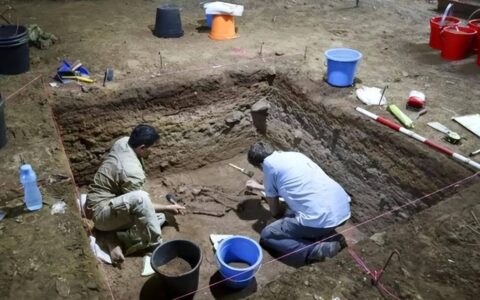 3万年前的人类遗骸被发现，竟做过截肢手术，难道猿人也有智慧？