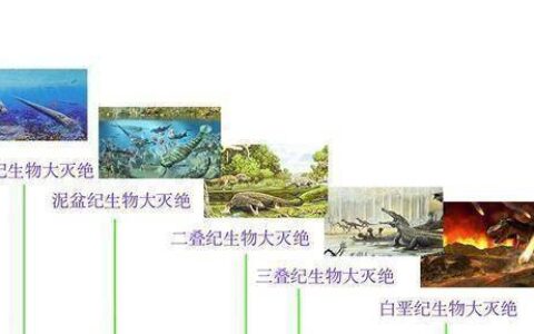 2300万年前“树叶”被发现！给人类提了个醒？未来太空移居或成真