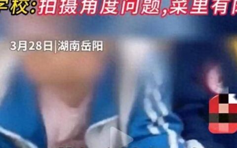 闹大了！家长怒斥湖南某小学食堂饭菜：全是素菜没有肉！校方回应