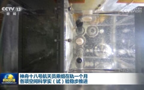 神舟十八号航天员乘组在轨一个月 各项空间科学实（试）验稳步推进