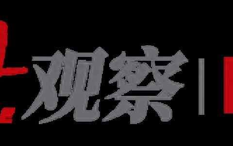 看丹观察丨“共情不了”的“王妈”，在塌一种很新的房？