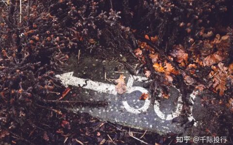 2022年标普500指数研究报告