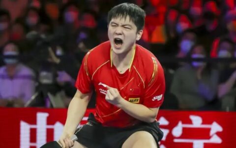 祝贺！樊振东4-1击败日乒名将张本智和，夺得WTT世界杯男单冠军！