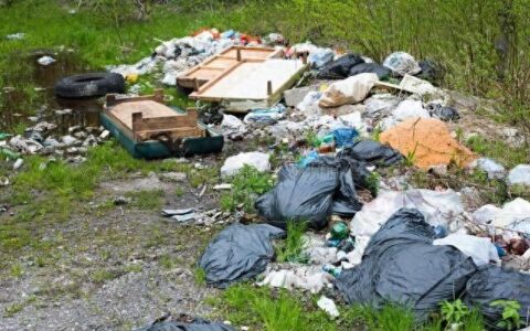 多地频发“跨省倒垃圾”乱象 垃圾堆积成山生态遭重创-异地偷倒垃圾为何还在疯狂上演