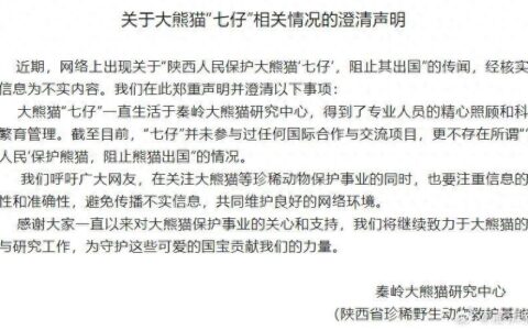 秦岭大熊猫研究中心：“陕西人民阻止‘七仔’出国”传闻不实-陕西秦岭大熊猫繁育基地官网