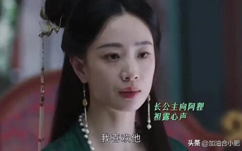墨雨云间：原来，这才是婉宁长公主誓死保全腹中孩子真相，太屈辱-女主婉宁是什么小说