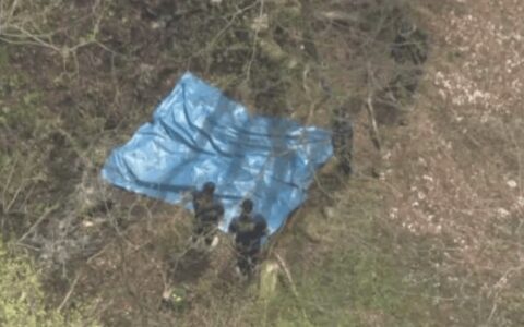华人夫妻被杀害并焚尸，男演员涉嫌杀人被捕！-华裔杀死父母