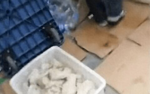 有顾客晒出赔偿金！胖东来拿出近900万为擀面皮道歉，网友：这么鼓励举报者会不会被盯上…-胖东来面点