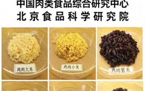 米里含肉!我国成功研发出猪肉米-是不是米猪肉
