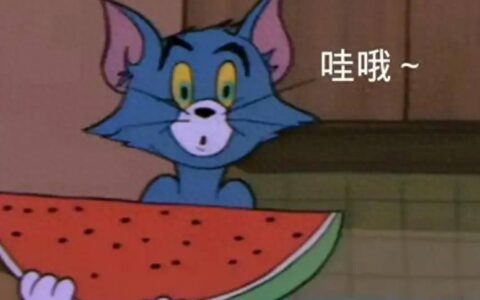 虽然否认恋爱，但这想秀的心藏不住了？-否认感情