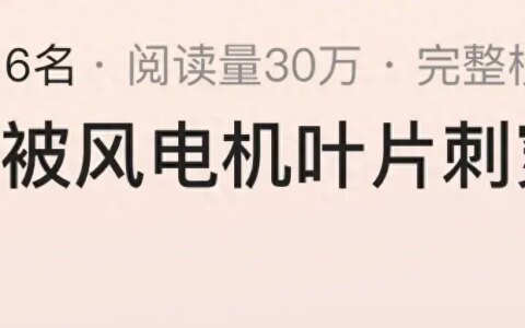 突发！黑龙江面包车被风电叶片刺穿1死3伤，原因曝光，果然有情况-哈尔滨面包车检车备案