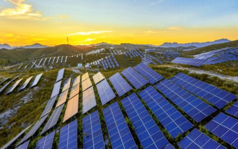 隆基绿能市值跌破千亿 光伏“千亿俱乐部”仅存阳光电源-隆基绿能科技股份有限公司招聘