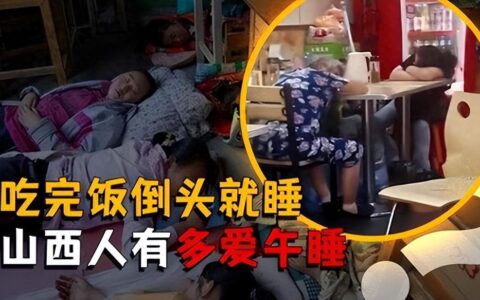 午睡大省山西有多离谱？一过饭点餐馆全关，连狗都要找个阴凉地睡