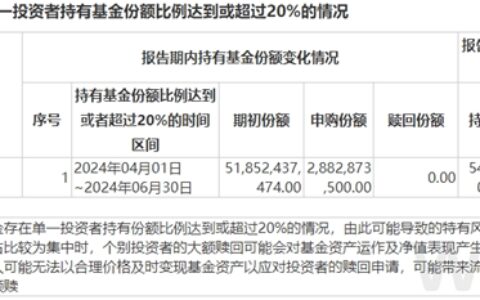 二季度中央汇金加仓，多位“顶流”基金经理调仓，透露这些动向！-中央汇金投资有限责任公司持有的股票