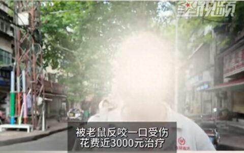 被老鼠咬伤是否接种狂犬疫苗？目前未发现其将狂犬病传播给人类-被老鼠咬是打狂犬疫苗吗