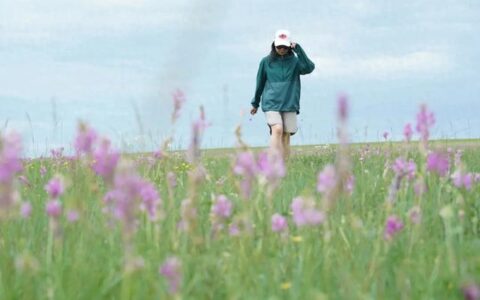 国内最适合避暑的5个地方，好玩凉快美食又多，还都是此生必去-国内最适合避暑的4个城市